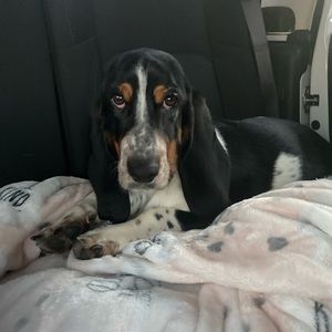 If you could please help, it would mean the world to me and Myrtle